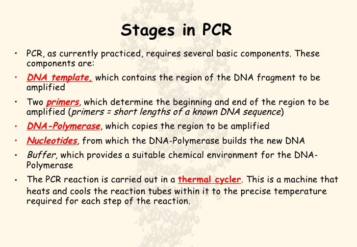 Polymerase Chain Reaction