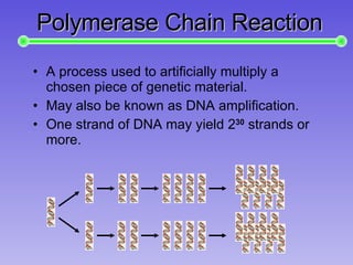 Polymerase Chain Reaction ,[object Object],[object Object],[object Object]