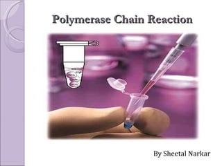 Polymerase Chain Reaction By Sheetal Narkar 