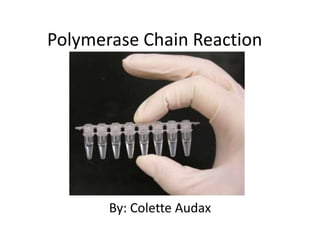 Polymerase Chain Reaction




       By: Colette Audax
 