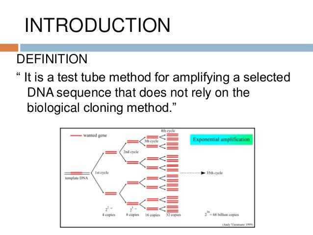 Polymerase chain reaction
