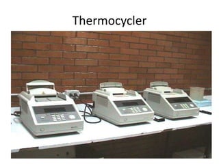 Thermocycler
4
 