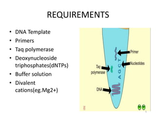 REQUIREMENTS
• DNA Template
• Primers
• Taq polymerase
• Deoxynucleoside
triphosphates(dNTPs)
• Buffer solution
• Divalent
cations(eg.Mg2+)
5
 