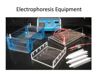 Electrophoresis Equipment
 