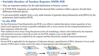 • Variable Number of Tandem Repeats (VNTR) PCR
• They are important markers for the individualization in forensic science.
• In VNTR PCR, fragments are amplified that showed little variation within a species, but did show
differences between species.
• It can successfully amplify from a very small amount of genomic deoxyribonucleic acid (DNA) by the
polymerase chain reaction (PCR)
• In-situ PCR
•In-Situ Polymerase Chain Reaction(In-situ PCR) is an effective method that detects minute quantities of rare
nucleic acid sequences in frozen or paraffin-embedded cells or tissue sections for the compartmentalization of
those sequences within the cells.
•This method involves tissue fixing that preserves the cell morphology, which is then followed by the treatment
with proteolytic enzymes to provide an entry for the PCR reagents to act on the target DNA.
•The target sequences are amplified by the reagents and then detected by standard immunocytochemical
protocols.
•In-situ PCR is applicable for the diagnosis of infectious diseases, quantification of DNA, detection of even small
amount of DNA and is widely used in the study of organogenesis and embryogenesis.
 