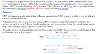 • In the original PCR procedure, one problem was that the DNA polymerase had to be replenished after
every cycle because it is not stable at the high temperatures needed for denaturation. This problem was
solved in 1987 with the discovery of a heat-stable DNA polymerase called Taq, an enzyme isolated from
the thermophilic bacterium Thermus aquaticus, which inhabits hot springs.
• Primers
• DNA polymerase can add a nucleotide only onto a preexisting 3'-OH group, it needs a primer to which it
can add the first nucleotide
• PCR primers are short pieces of single-stranded DNA, usually around 20 nucleotides in length. Two
primers are used in each PCR reaction(forward primer and reverse primer), and they are designed so that
they flank the target region (region that should be copied).
• When the primers are bound to the template, they can be extended by the polymerase, and the region that
lies between them will get copied.
 