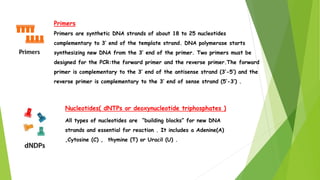 Primers
Primers are synthetic DNA strands of about 18 to 25 nucleotides
complementary to 3’ end of the template strand. DNA polymerase starts
synthesizing new DNA from the 3’ end of the primer. Two primers must be
designed for the PCR:the forward primer and the reverse primer.The forward
primer is complementary to the 3’ end of the antisense strand (3’-5’) and the
reverse primer is complementary to the 3’ end of sense strand (5’-3’) .
Nucleotides( dNTPs or deoxynucleotide triphosphates )
All types of nucleotides are “building blocks” for new DNA
strands and essential for reaction . It includes a Adenine(A)
,Cytosine (C) , thymine (T) or Uracil (U) .
 