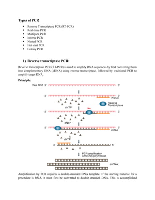 Polymerase Chain Reaction complete assignment.docx