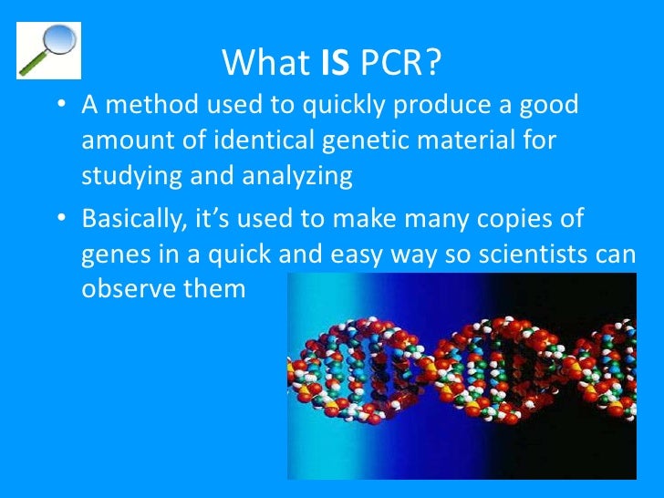 what is pcr