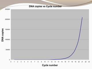 DNA copies vs Cycle number
0
500000
1000000
1500000
2000000
2500000
0 1 2 3 4 5 6 7 8 9 10 11 12 13 14 15 16 17 18 19 20 21 22 23
Cycle number
DNAcopies
 