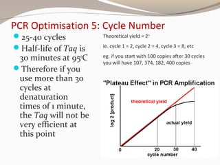 PCR Optimisation 5: Cycle Number
25-40 cycles
Half-life of Taq is
30 minutes at 95o
C
Therefore if you
use more than 30
cycles at
denaturation
times of 1 minute,
the Taq will not be
very efficient at
this point
Theoretical yield = 2n
ie. cycle 1 = 2, cycle 2 = 4, cycle 3 = 8, etc
eg. if you start with 100 copies after 30 cycles
you will have 107, 374, 182, 400 copies
 