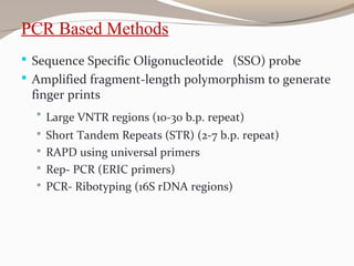  Sequence Specific Oligonucleotide (SSO) probe
 Amplified fragment-length polymorphism to generate
finger prints
 Large VNTR regions (10-30 b.p. repeat)
 Short Tandem Repeats (STR) (2-7 b.p. repeat)
 RAPD using universal primers
 Rep- PCR (ERIC primers)
 PCR- Ribotyping (16S rDNA regions)
PCR Based Methods
 