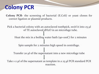 Colony PCR
Colony PCR- the screening of bacterial (E.Coli) or yeast clones for
correct ligation or plasmid products.
Pick a bacterial colony with an autoclaved toothpick, swirl it into 25 μl
of TE autoclaved dH2O in an microfuge tube.
Heat the mix in a boiling water bath (90-100C) for 2 minutes
Spin sample for 2 minutes high speed in centrifuge.
Transfer 20 μl of the supernatant into a new microfuge tube
Take 1-2 μl of the supernatant as template in a 25 μl PCR standard PCR
reaction.
 