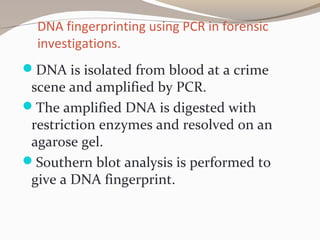 DNA fingerprinting using PCR in forensic
investigations.
DNA is isolated from blood at a crime
scene and amplified by PCR.
The amplified DNA is digested with
restriction enzymes and resolved on an
agarose gel.
Southern blot analysis is performed to
give a DNA fingerprint.
 
