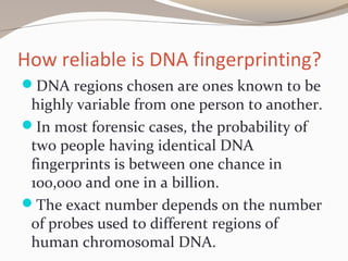 How reliable is DNA fingerprinting?
DNA regions chosen are ones known to be
highly variable from one person to another.
In most forensic cases, the probability of
two people having identical DNA
fingerprints is between one chance in
100,000 and one in a billion.
The exact number depends on the number
of probes used to different regions of
human chromosomal DNA.
 