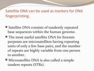 Satellite DNA can be used as markers for DNA
fingerprinting.
Satellite DNA consists of tandemly repeated
base sequences within the human genome.
The most useful satellite DNA for forensic
purposes are microsatellites having repeating
units of only a few base pairs, and the number
of repeats are highly variable from one person
to another.
Microsatellite DNA is also called a simple
tandem repeats (STRs).
 