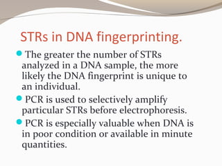 STRs in DNA fingerprinting.
The greater the number of STRs
analyzed in a DNA sample, the more
likely the DNA fingerprint is unique to
an individual.
PCR is used to selectively amplify
particular STRs before electrophoresis.
PCR is especially valuable when DNA is
in poor condition or available in minute
quantities.
 