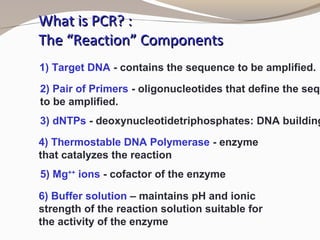 What is PCR? :What is PCR? :
The “Reaction” ComponentsThe “Reaction” Components
1) Target DNA - contains the sequence to be amplified.
2) Pair of Primers - oligonucleotides that define the sequ
to be amplified.
3) dNTPs - deoxynucleotidetriphosphates: DNA building
4) Thermostable DNA Polymerase - enzyme
that catalyzes the reaction
5) Mg++
ions - cofactor of the enzyme
6) Buffer solution – maintains pH and ionic
strength of the reaction solution suitable for
the activity of the enzyme
 