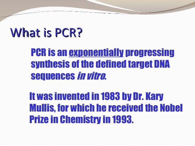 polymerase chain reaction principles and practice what is pcr
