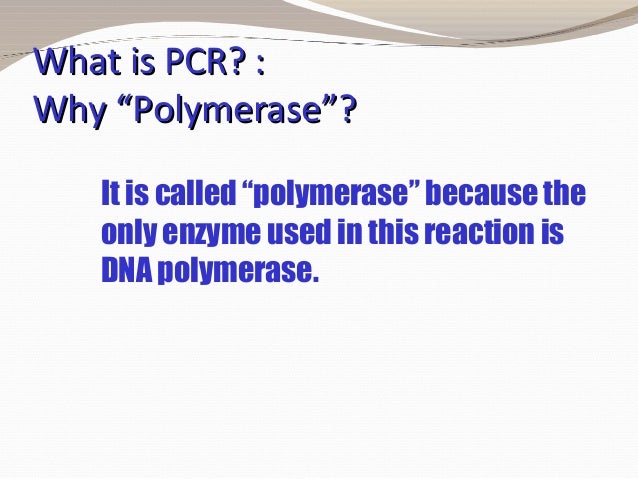 polymerase chain reaction principles and practice what is pcr