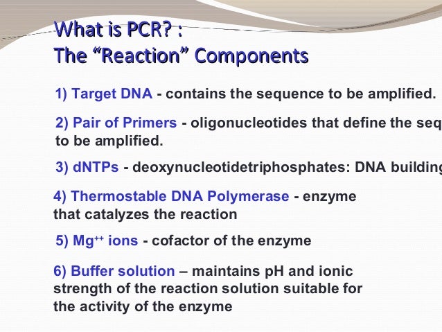 polymerase chain reaction principles and practice what is pcr