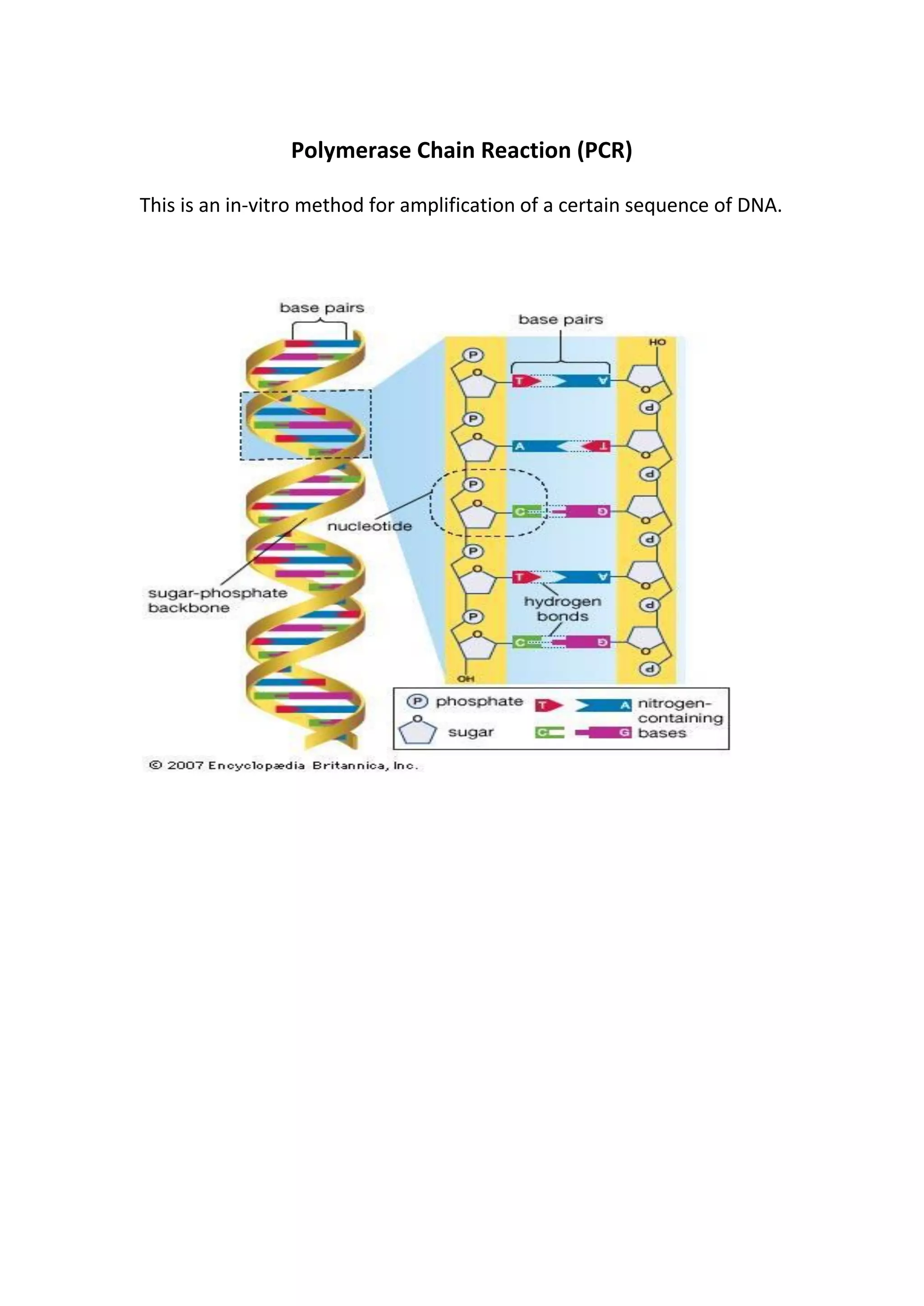 Polymerase chain reaction 2018 | PDF