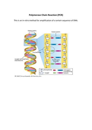 Polymerase Chain Reaction (PCR)
This is an in-vitro method for amplification of a certain sequence of DNA.
 