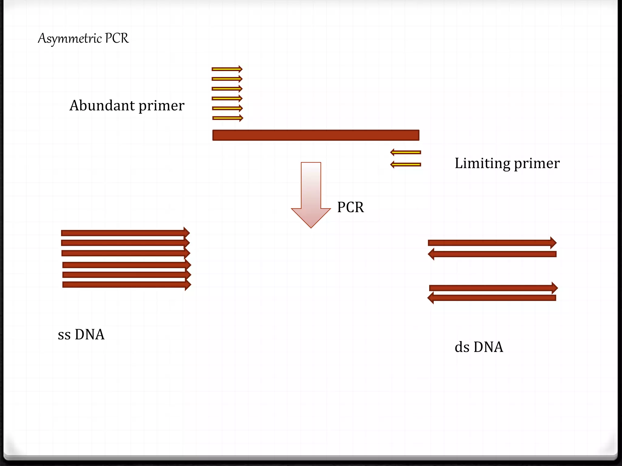 Abundant primer
Limiting primer
PCR
ss DNA
ds DNA
Asymmetric PCR
 