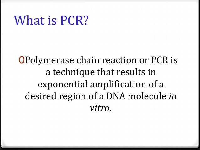types of polymerase chain reaction A polymerase chain reaction is a method of amplifying a certain region of dna sequence it is an in vitro technique that is used to generate large quantities of a specified dna even from the smallest quantities of. types of polymerase chain reaction A polymerase chain reaction is a method of amplifying a certain region of dna sequence it is an in vitro technique that is used to generate large quantities of a specified dna even from the smallest quantities of.