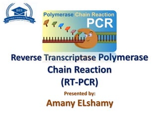 Reverse Transcriptase Polymerase
Chain Reaction
(RT-PCR)
Presented by:
Amany ELshamy
 