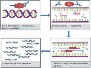 HOT-START PCR
 