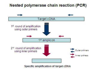 Polymerase chain reaction and it’s modifications