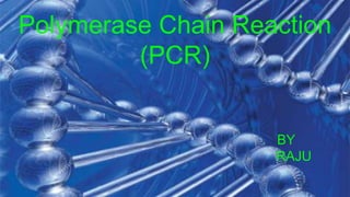 Polymerase Chain Reaction
(PCR)
BY
RAJU
 
