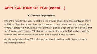 APPLICATIONS OF PCR (contd…)
2. Genetic fingerprints
One of the most famous uses for PCR is in the creation of a genetic fingerprint (also known
as DNA profiling) from a sample of blood or semen, or from a hair root. Much beloved by
writers of detective fiction, genetic fingerprints are profiles of specific stretches of DNA that
vary from person to person. PCR also plays a role in mitochondrial DNA analysis, used for
samples from hair shafts and bones when other samples are not available.
Genetic analysis based on PCR is also used in paternity testing, and in tissue typing for
organ transplantation.
 
