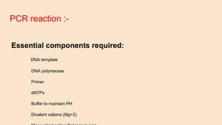 PCR reaction :-
Essential components required:
DNA template
DNA polymerase
Primer
dNTPs
Buffer to maintain PH
Divalent cations (Mg+2)
 