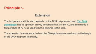 Principle :-
Extension
The temperature at this step depends on the DNA polymerase used. Taq DNA
polymerase has its optimum activity temperature at 75–80 °C, and commonly a
temperature of 72 °C is used with this enzyme in this step.
The extension time depends both on the DNA polymerase used and on the length
of the DNA fragment to amplify.
 