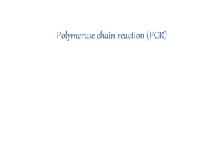 Polymerase chain reaction (PCR)
 