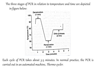 The three stages of PCR in relation to temperature and time are depicted
in figure below:
Each cycle of PCR takes about 3-5 minutes. In normal practice, the PCR is
carried out in an automated machine, Thermo cycler.
 