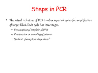 Steps in PCR
• The actual technique of PCR involves repeated cycles for amplification
of target DNA. Each cycle has three stages.
– Denaturation of template dsDNA
– Renaturation or annealing of primers
– Synthesis of complementary strand
 