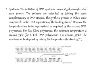 • Synthesis: The initiation of DNA synthesis occurs at 3'-hydroxyl end of
each primer. The primers are extended by joining the bases
complementary to DNA strands. The synthetic process in PCR is quite
comparable to the DNA replication of the leading strand. However the
temperature has to be kept optimal as required by the enzyme DNA
polymerase. For Taq DNA polymerase, the optimum temperature is
around 75°C (for E. Coli DNA polymerase, it is around 37°C). The
reaction can be stopped by raising the temperature (to about 95°C).
 