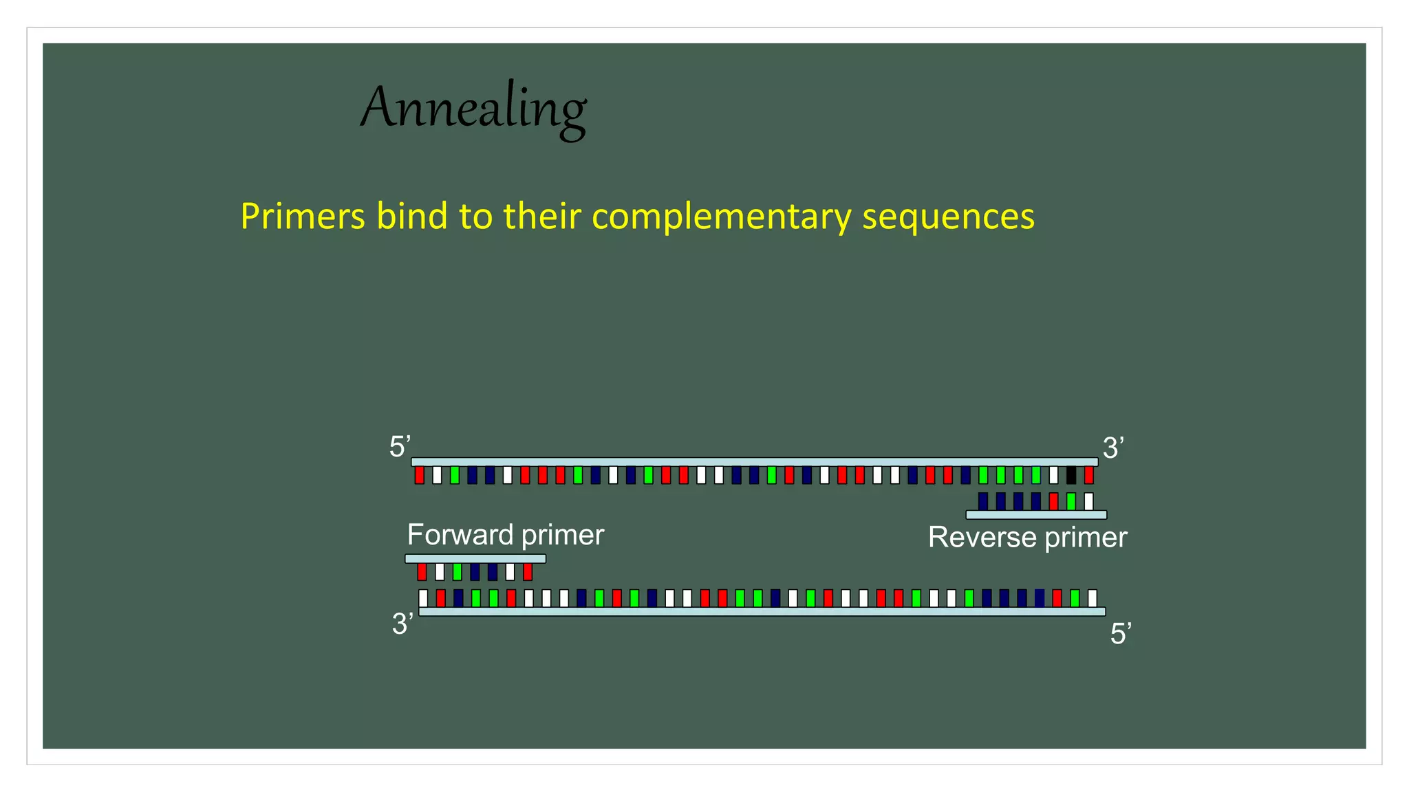 Polymerase chain reaction (pcr) | PPTX