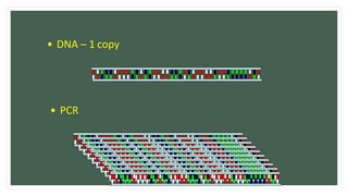 Polymerase chain reaction (pcr) | PPTX