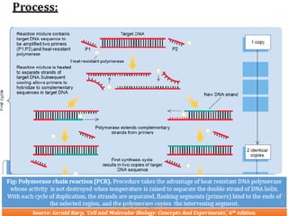 Polymerase Chain Reaction (PCR) | PDF
