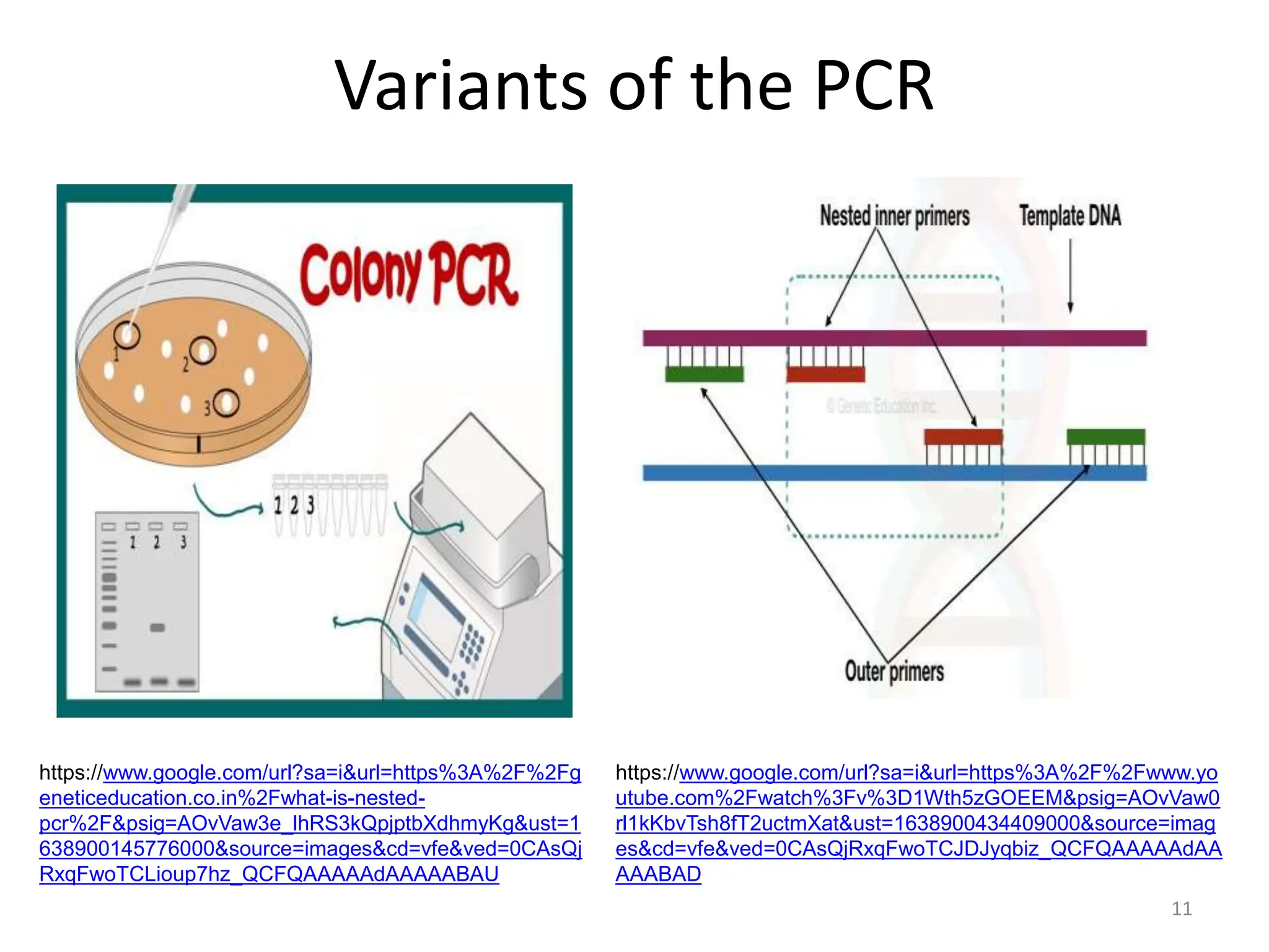 Variants of the PCR
https://www.google.com/url?sa=i&url=https%3A%2F%2Fg
eneticeducation.co.in%2Fwhat-is-nested-
pcr%2F&psig=AOvVaw3e_lhRS3kQpjptbXdhmyKg&ust=1
638900145776000&source=images&cd=vfe&ved=0CAsQj
RxqFwoTCLioup7hz_QCFQAAAAAdAAAAABAU
https://www.google.com/url?sa=i&url=https%3A%2F%2Fwww.yo
utube.com%2Fwatch%3Fv%3D1Wth5zGOEEM&psig=AOvVaw0
rl1kKbvTsh8fT2uctmXat&ust=1638900434409000&source=imag
es&cd=vfe&ved=0CAsQjRxqFwoTCJDJyqbiz_QCFQAAAAAdAA
AAABAD
11
 