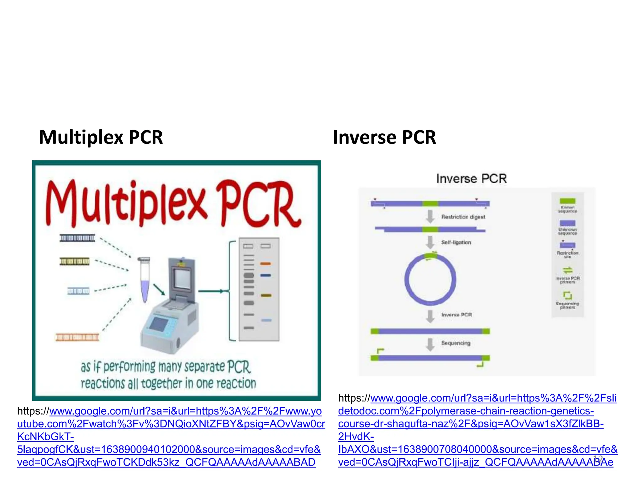 Multiplex PCR Inverse PCR
https://www.google.com/url?sa=i&url=https%3A%2F%2Fwww.yo
utube.com%2Fwatch%3Fv%3DNQioXNtZFBY&psig=AOvVaw0cr
KcNKbGkT-
5laqpogfCK&ust=1638900940102000&source=images&cd=vfe&
ved=0CAsQjRxqFwoTCKDdk53kz_QCFQAAAAAdAAAAABAD
https://www.google.com/url?sa=i&url=https%3A%2F%2Fsli
detodoc.com%2Fpolymerase-chain-reaction-genetics-
course-dr-shagufta-naz%2F&psig=AOvVaw1sX3fZlkBB-
2HvdK-
IbAXO&ust=1638900708040000&source=images&cd=vfe&
ved=0CAsQjRxqFwoTCIji-ajjz_QCFQAAAAAdAAAAABAe
12
 