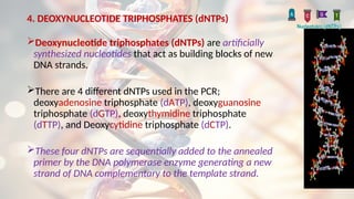 4. DEOXYNUCLEOTIDE TRIPHOSPHATES (dNTPs)
Deoxynucleotide triphosphates (dNTPs) are artificially
synthesized nucleotides that act as building blocks of new
DNA strands.
There are 4 different dNTPs used in the PCR;
deoxyadenosine triphosphate (dATP), deoxyguanosine
triphosphate (dGTP), deoxythymidine triphosphate
(dTTP), and Deoxycytidine triphosphate (dCTP).
These four dNTPs are sequentially added to the annealed
primer by the DNA polymerase enzyme generating a new
strand of DNA complementary to the template strand.
 