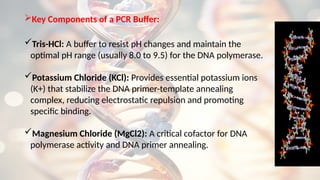 Key Components of a PCR Buffer:
Tris-HCl: A buffer to resist pH changes and maintain the
optimal pH range (usually 8.0 to 9.5) for the DNA polymerase.
Potassium Chloride (KCl): Provides essential potassium ions
(K+) that stabilize the DNA primer-template annealing
complex, reducing electrostatic repulsion and promoting
specific binding.
Magnesium Chloride (MgCl2): A critical cofactor for DNA
polymerase activity and DNA primer annealing.
 