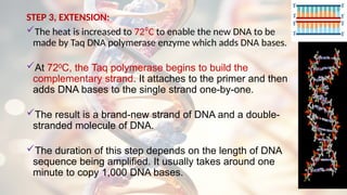 STEP 3, EXTENSION:
The heat is increased to 72⁰C to enable the new DNA to be
made by Taq DNA polymerase enzyme which adds DNA bases.
At 72 C, the Taq polymerase begins to build the
⁰
complementary strand. It attaches to the primer and then
adds DNA bases to the single strand one-by-one.
The result is a brand-new strand of DNA and a double-
stranded molecule of DNA.
The duration of this step depends on the length of DNA
sequence being amplified. It usually takes around one
minute to copy 1,000 DNA bases.
 