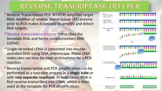 Reverse Transcriptase PCR (RT-PCR) amplifies target
RNA. Addition of reverse transcriptase (RT) enzyme
prior to PCR makes it possible to amplify and detect
RNA targets.
Reverse transcriptase enzyme transcribes the
template RNA and forms complementary DNA
(cDNA).
Single-stranded cDNA is converted into double-
stranded DNA using DNA polymerase. These DNA
molecules can now be used as templates for a PCR
reaction.
Reverse transcription and PCR amplification can be
performed as a two-step process in a single tube or
with two separate reactions. In both cases, RNA is
first reverse-transcribed into cDNA, which is then
used as the template for PCR amplification.
REVERSE TRANCRIPTASE (RT) PCR
 