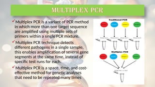 Multiplex PCR is a variant of PCR method
in which more than one target sequence
are amplified using multiple sets of
primers within a single PCR mixture.
Multiplex PCR technique detects
different pathogens in a single sample,
this enables amplification of several gene
segments at the same time, instead of
specific test runs for each.
Multiplex PCR is a space, time, and cost-
effective method for genetic analyses
that need to be repeated many times
MULTIPLEX PCR
 